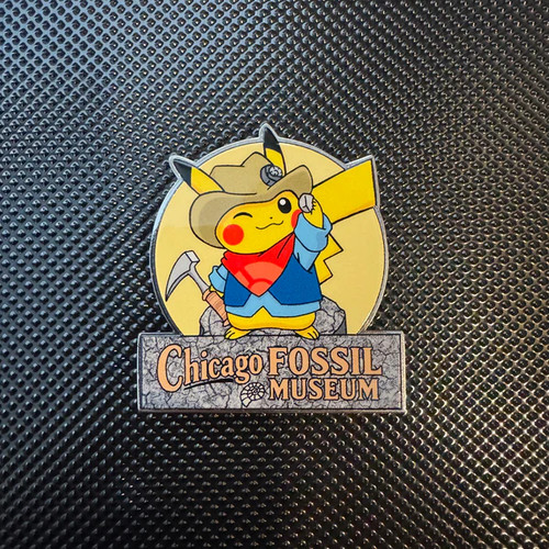 Custom chicago fossil - chicago,
